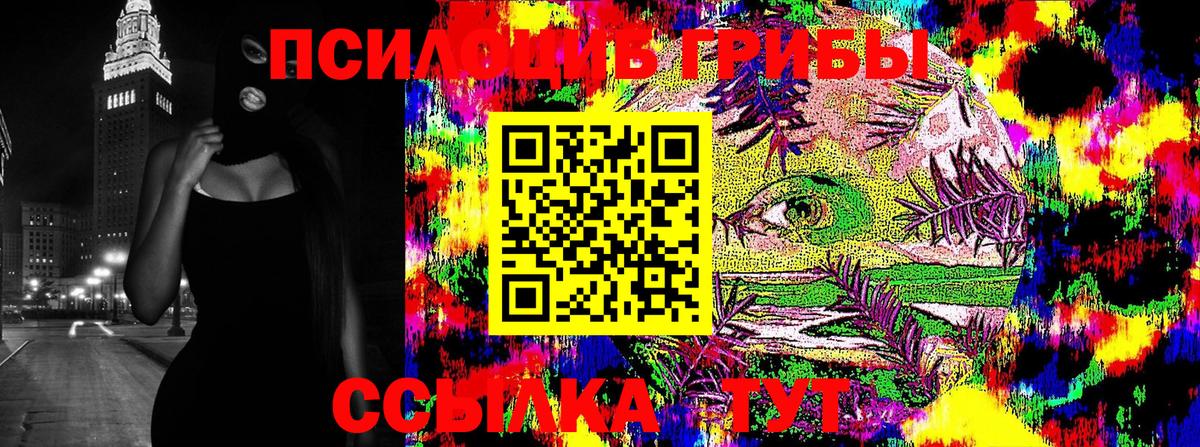 Мыски  купить   Вход с VPN  Псилоцибиновые грибы ЛСД  Псилоцибиновые грибы ЛСД 