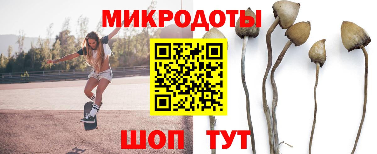 Псилоцибиновые грибы прущие грибы Мыски